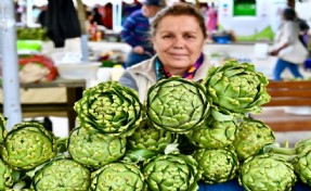 Urla Enginar Festivali için geri sayım başladı