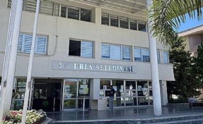 Urla'da hayvan katliamı: Belediyeden yazılı açıklama geldi!