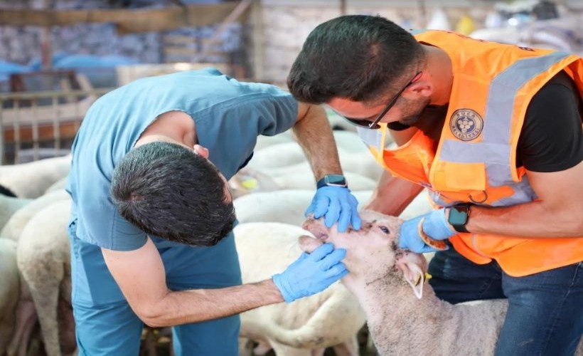 Buca’da Belediyesi'nden vatandaşlara uyarı: Kurban seçerken dikkat!