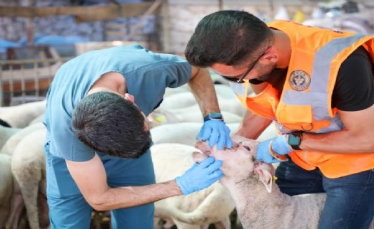 Buca’da Belediyesi'nden vatandaşlara uyarı: Kurban seçerken dikkat!