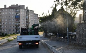 Çiğli’de sivrisinek ilaçlaması; İki katına çıkartıldı