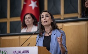 DEM'den Sinan Ateş çıkışı