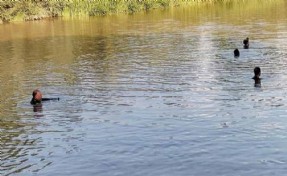 Aras Nehri'nde kaybolan 12 yaşındaki Yusuf'un cansız bedenine ulaşıldı