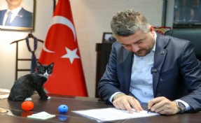 Başkan Duman yasaya tepkisini video ile dile getirdi: Aşılama ve kısırlaştırma vurgusu