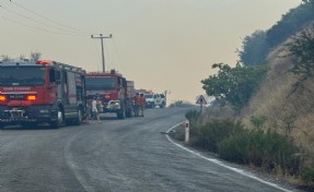İzmir İtfaiyesi Dikili'de orman yangınına müdahale ediyor