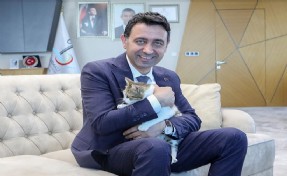 Bayraklı Belediyesi'nden sahiplendirme kampanyası: 'Biz yaşatmayı seçiyoruz'