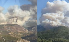 Menderes'te orman yangını