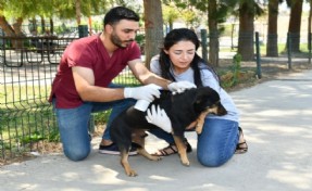 Çiğli Belediyesi'nin Sahiplendirme Platformu hizmete girdi: Can dostlar yuvasız kalmayacak