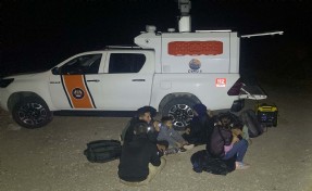Bodrum'da 29 kaçak göçmen yakalandı