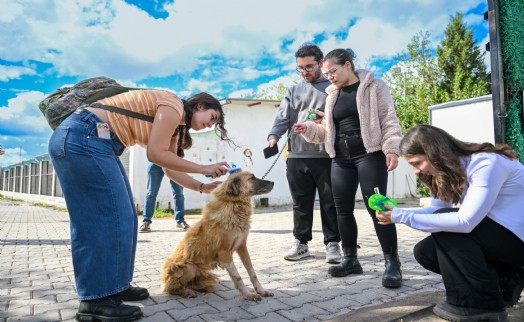 Bornova’da can dostlar için el ele