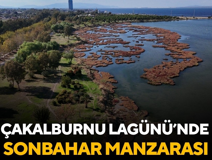 Çakalburnu Lagünü’nde sonbahar manzarası