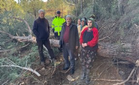 Danıştay onlarca ağacın kesildiği Tire-Belevi yolu için yürütmeyi durdurma kararı