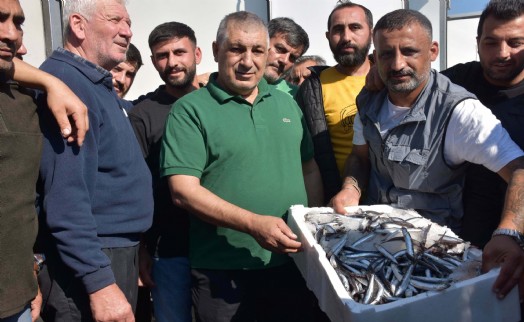Hamsiye yurt içi ve yurt dışından gelen yoğun talebe yetişilemiyor