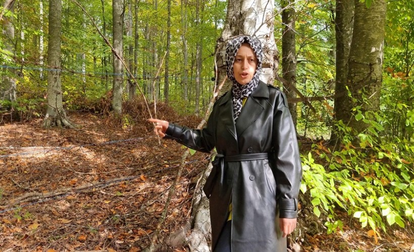 İlk hasadını ayılara kaptırdı