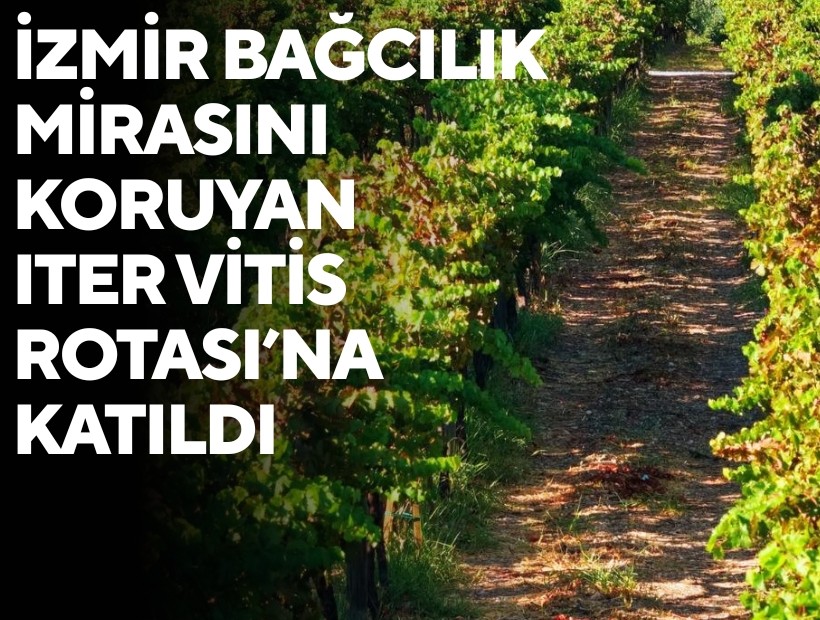 İzmir bağcılık mirasını koruyan Iter Vitis Rotası’na katıldı