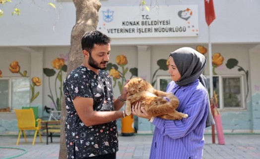 Konak, can dostlarının yanında: 200'den fazla kedi ve köpek yeni yuvasına kavuştu