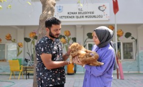 Konak, can dostlarının yanında: 200'den fazla kedi ve köpek yeni yuvasına kavuştu