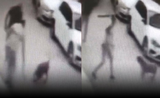 Köpeği kemerle döven cani gözaltında!