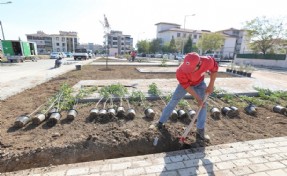 Menderes'teki Pati Park’ta sona doğru