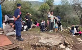 Milas’ta kaçak göçmen alarmı!