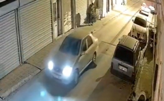 Muğla’da otomobilin altında sürüklenen oklu kirpi öldü