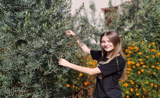 Okul bahçesinde öğrencilerden zeytin hasadı