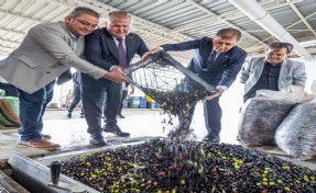Sezonun ilk zeytinyağı Başkan Tugay’dan