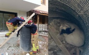 Turgutlu'da su tahliye borusuna düşen kediyi itfaiye kurtardı