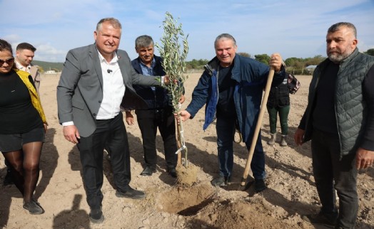 Atatürk’ün vasiyeti Urla’da hayata geçti: Zeytin Koleksiyon Bahçesi’nde ilk fidan dikimi