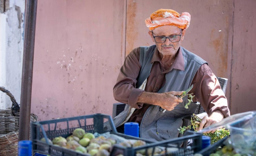 Beydağ incirinin katma değeri artıyor