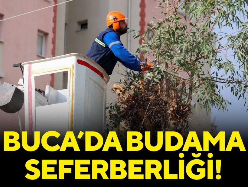 Buca’da budama seferberliği