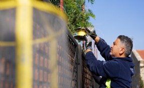 Büyükşehir ekipleri karasineklere geçit vermiyor