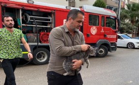 Büyükşehir itfaiyesi can dostları kaderine terk etmedi
