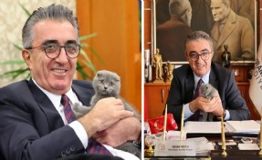 Bayrampaşa Belediyesi'nde dikkat çeken iddia: Başkanın kedisini binadan uzaklaştırmak istediler