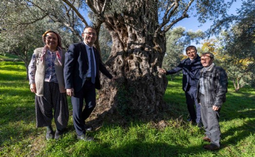 Tugay Beydağ’da kestane üreticileriyle buluştu: 'Gözümüz gibi korumamız gerek'