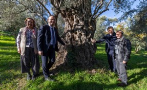 Tugay Beydağ’da kestane üreticileriyle buluştu: 'Gözümüz gibi korumamız gerek'