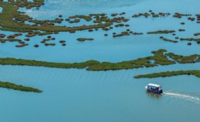 Doğa ve lezzet tutkunları bu turları çok sevecek