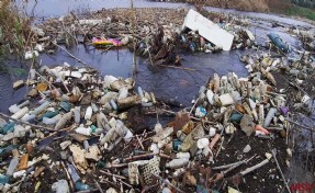 Ege'nin derelerinde katı katık sıkıntısı!