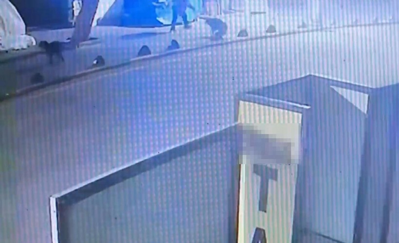 Emekli astsubay, sokak köpeğini tabancayla vurdu!