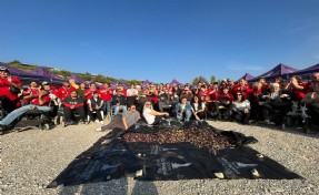 Engelli yurttaşlar ve yakınları zeytin hasadında buluştu