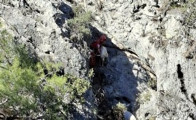 Fethiye'de kayalıkta mahsur kalan 4 keçiyi, AKUT kurtardı