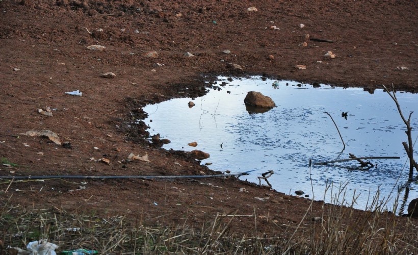 Geçen yıl taşıma suyla can bulan Sülüklü Göl, tamamen kurudu