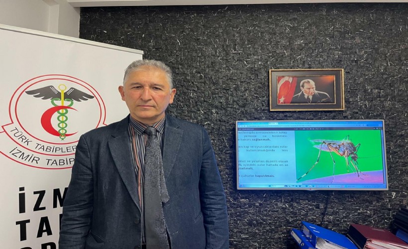 İklim değişikliği nedeniyle tropikal kökenli sivrisinekler Türkiye'ye taşındı