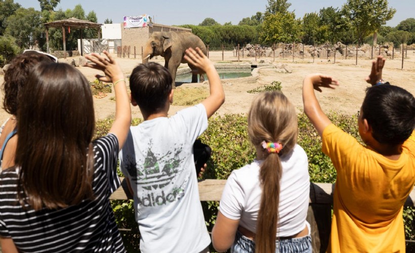 İzmir Doğal Yaşam Parkı’na ziyaretçi akını