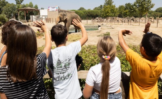 İzmir Doğal Yaşam Parkı’na ziyaretçi akını