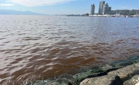 İzmir Körfezi'nde kötü koku sürüyor; denizin rengi kahverengiye döndü!