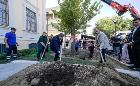 İzmir'de ağaç krizi: Cemil Tugay dikti Valilik söktü