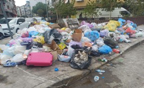 İzmir'de karasinek sıkıntısının nedeni biriken çöpler!