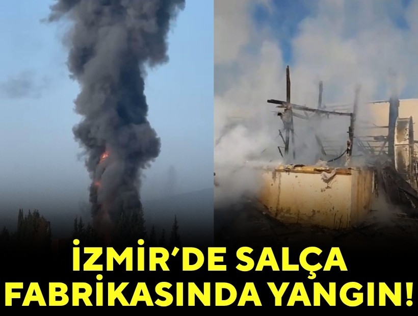 İzmir'de salça fabrikasında yangın!