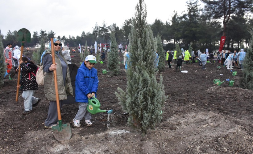 İzmir’de 115 bin adet fidan toprakla buluşturuldu